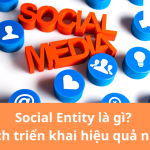 Social entity là gì